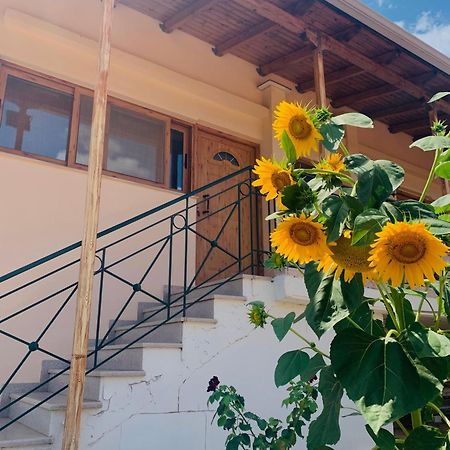 Bokas Exotic House Apartment Tragana  Exterior photo